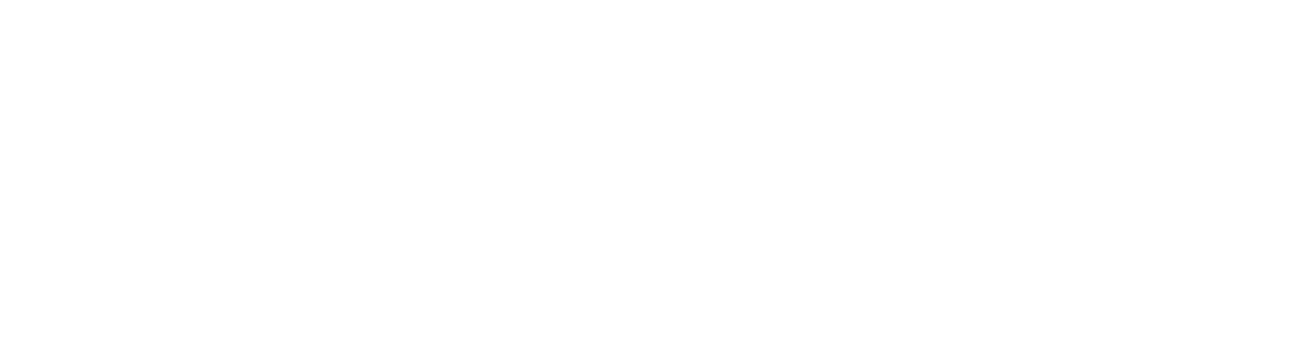 北新赛特
