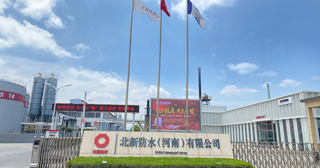 北新金拇指